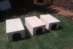 Carpentry 1